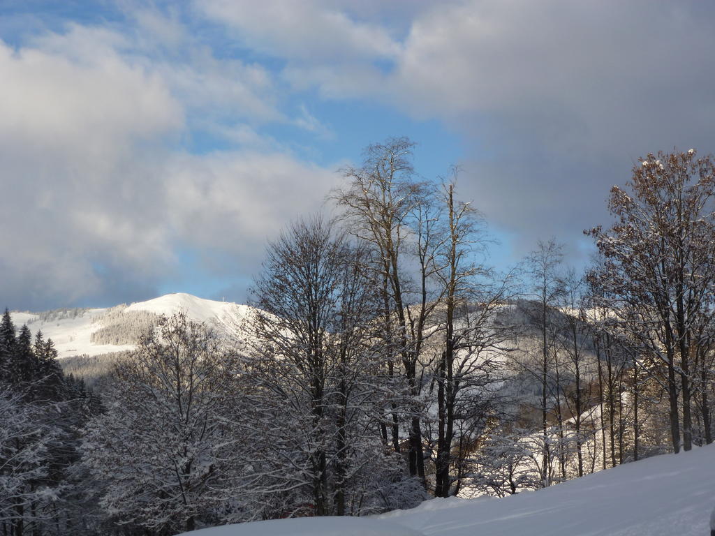 Appartement Ripper Saalbach-Hinterglemm Exterior foto